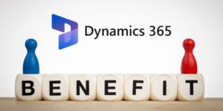 dynamics 365 consultant